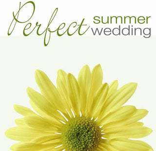 the album cover for Various Artists - Perfect Wedding: Summer / Varrious