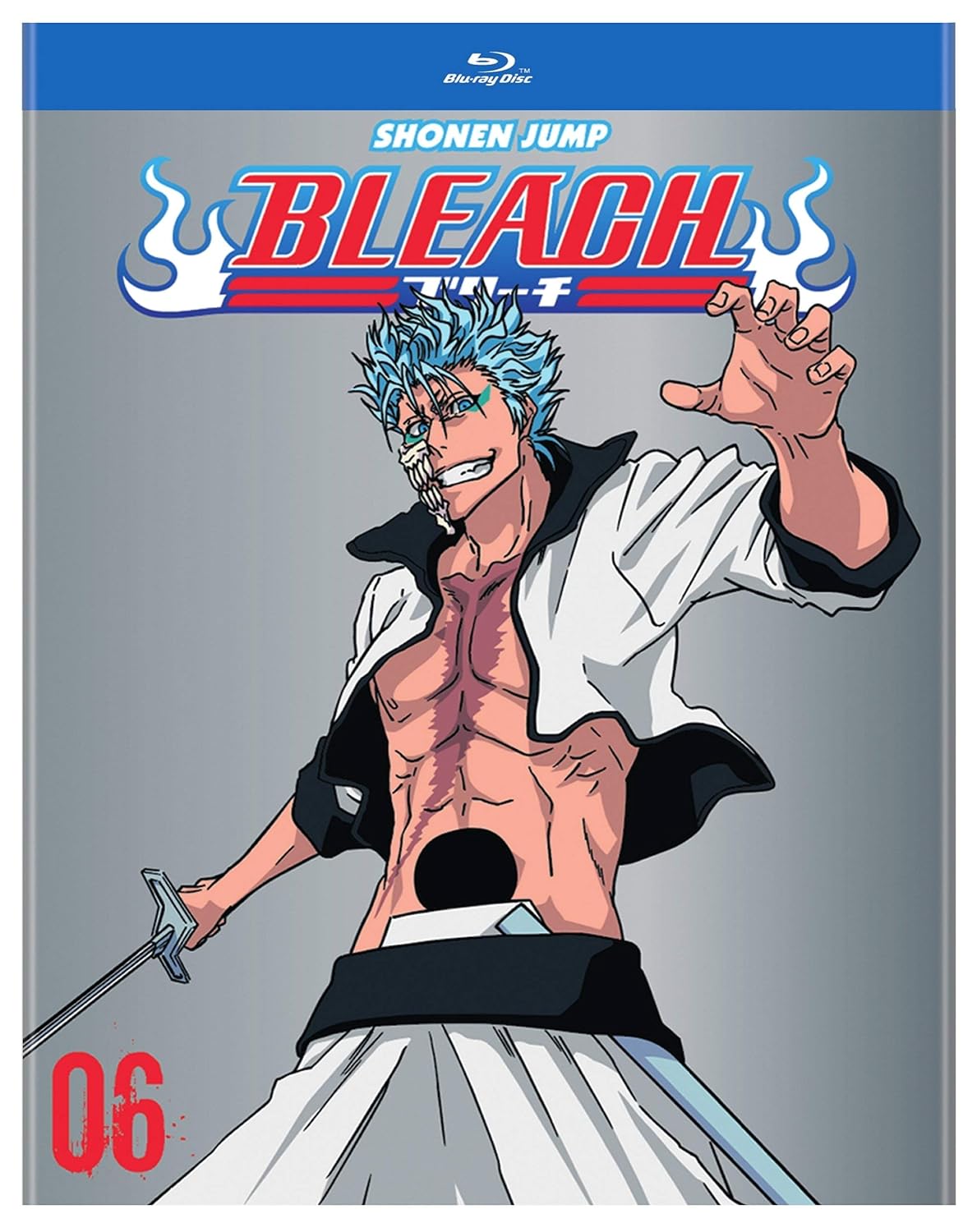 Bleach Volume 06