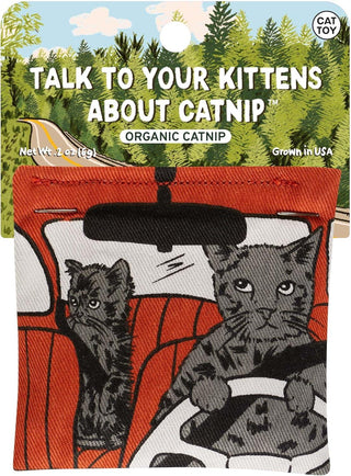 Talk To Your Kittens About Catnip Toy