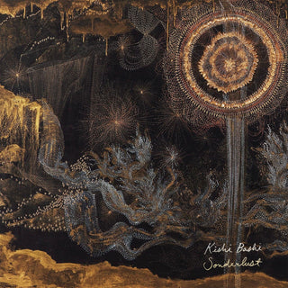 Kishi Bashi- Sonderlust (Used CD)