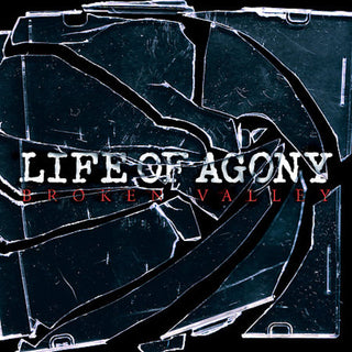 the album cover for Life Of Agony - Broken Valley