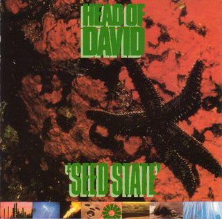Head Of David- Seed State