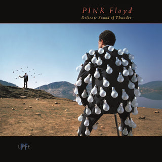 Pink Floyd- Delicate Sound Of Thunder (2017 Reissue)(Sealed)