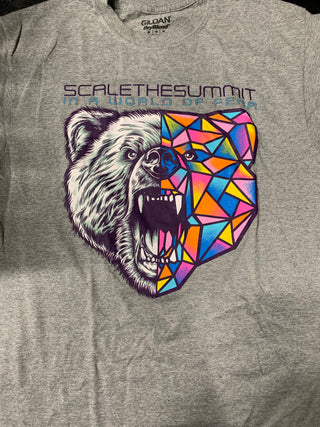 Scale The Summit In A World Of Fear T-Shirt, Grey, M