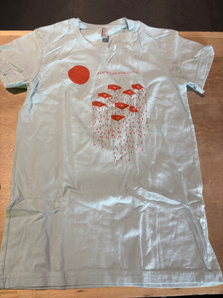 Death Cab For Cutie House High Rises T-Shirt, Light Blue, Women's Medium