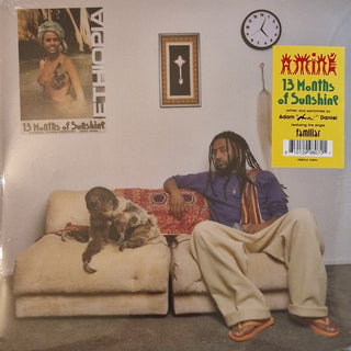 Amine- 13 Months Of Sunshine - Limited Purple Colored Vinyl