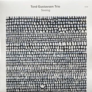 Tord Gustavsen Trio- Seeing
