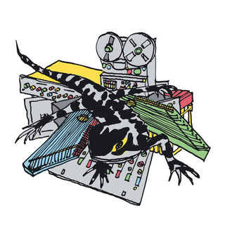 Ulrich Troyer- Transit Tribe (Uk)