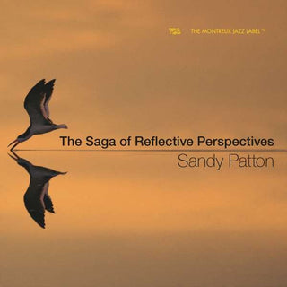 Sandy Patton- Saga of Reflective Perspectives