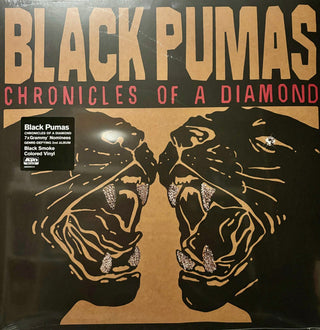 Black Pumas- Chronicles Of A Diamond