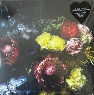 Cold Cave- Fate In Seven Lessons