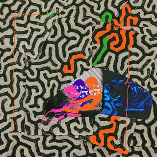 Animal Collective- Tangerine Reef