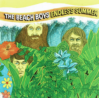 Beach Boys- Endless Summer (Used CD)