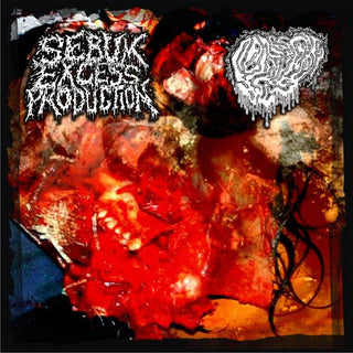 Sebum Excess Production / Fetal Deformity- Split