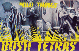 Bush Tetras- Wild Things