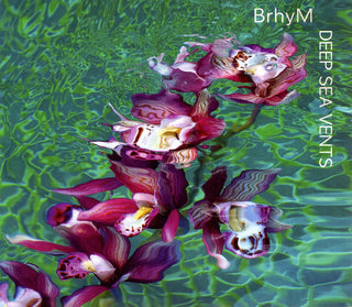 Brhym (Bruce Hornsby)- Deep Sea Vents