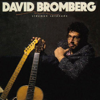 David Bromberg- Sideman Serenade