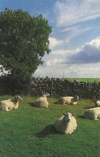 The KLF - Chill Out (w/Hype Sticker on Back)
