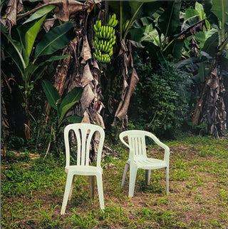 Bad Bunny- Debi Tirar Mas Fotos (White Vinyl)(Sealed)