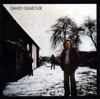 David Gilmour (Pink Floyd)- David Gilmour