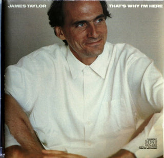 James Taylor- That's Why I'm Here