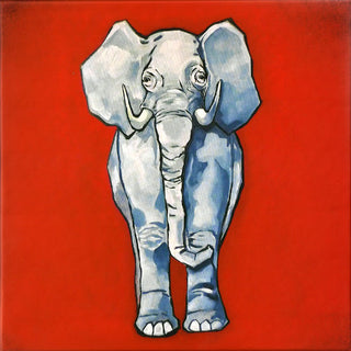 White Stripes- Elephant Singles Box Set (TMR Vault #19, 4x Colored 7" Box Set)