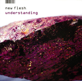New Flesh- Understanding