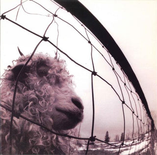 Pearl Jam- Versus (Sealed 1st Press w/ Hype Sticker) (Used Vinyl)