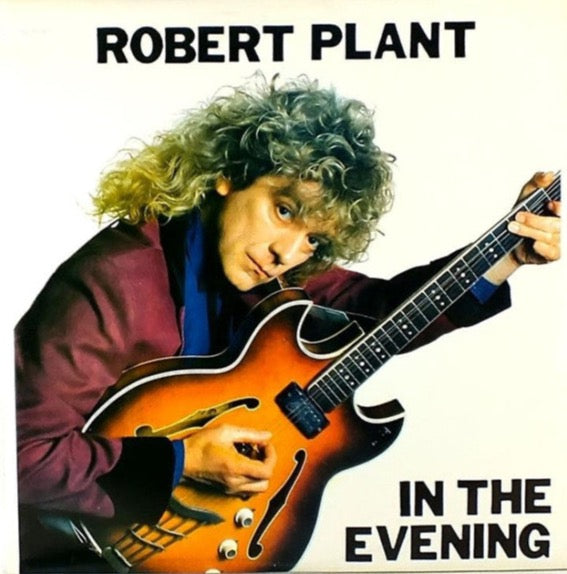Robert Plant- In The Evening (Unofficial)(L.A. Forum 6/14/1988)