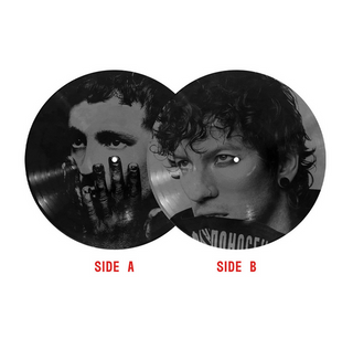 Twenty One Pilots- Breach (Rawfear Pic Disc)