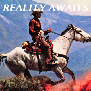 The Strokes- Reality Awaits (Black Vinyl) (PREORDER)