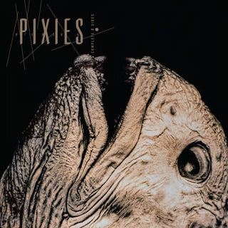 Pixies- Complete B Sides: 1988-1997 (2CD) (PREORDER)