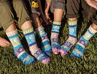 Solmate Hummingbird Crew Socks