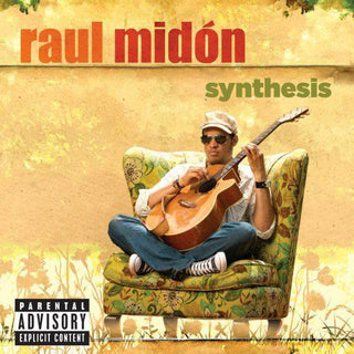 Raul Midón- Synthesis