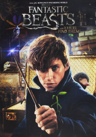 Fantastic Beasts And Where To Find Them