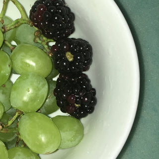 Hana Vu- How Many Times Have You Driven By (White)(Sealed)