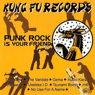 Various- Punk Rock Is Your Friend