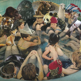 Panda Bear- Person Pitch