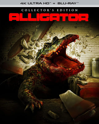 Alligator (4K)