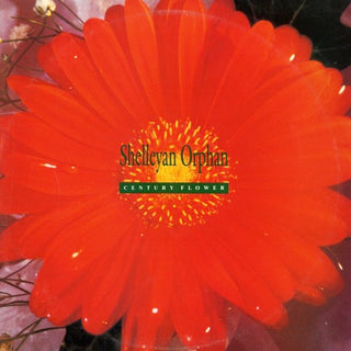 Shelleyan Orphan- Century Flower