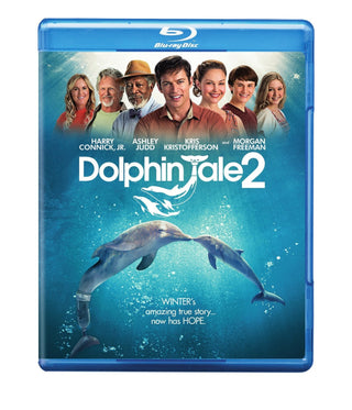 Dolphin Tale 2