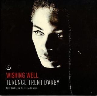 Terrence Trent D'Arby- Wishing Well (Cool In The Shade Mix)(12")
