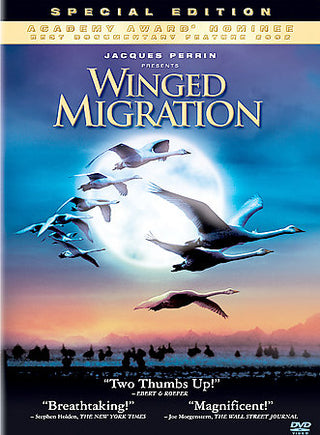 Winged Migration