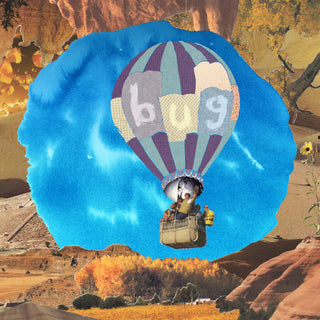 Pictures Of Vernon- Bug (Orange)