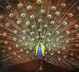 Ani DiFranco- Which Side Are You On?