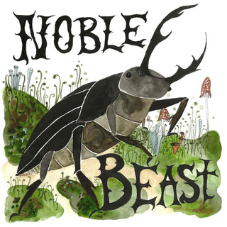 Andrew Bird- Noble Beast/Useless Creatures