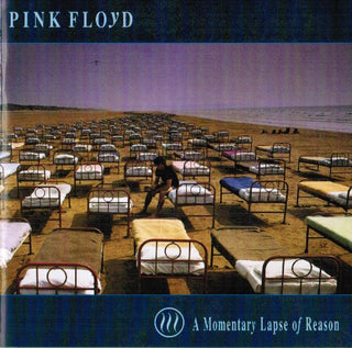Pink Floyd- A Momentary Lapse Of Reason