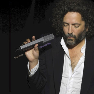 Destroyer- Have We Met