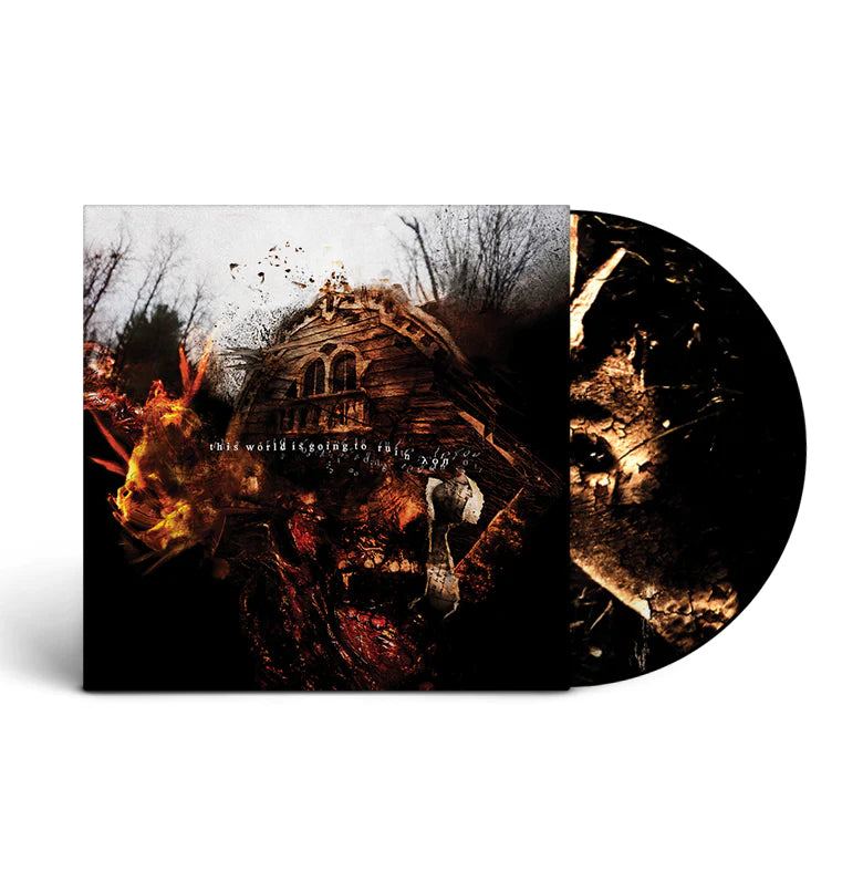 Vein.FM- This World Is Going To Ruin You (Pic Disc)