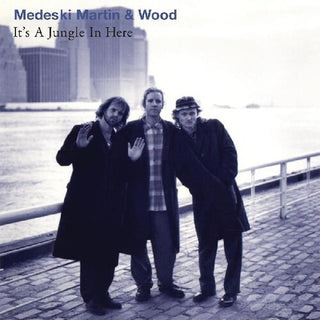 Martin Medeski & Wood- It's A Jungle In Here